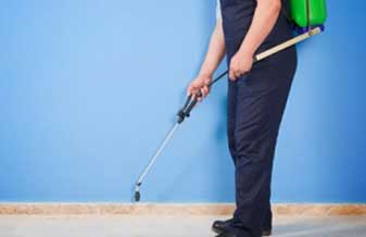 Dedetizadora e Desentupidora Gigante - Foto 1