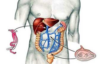 Gastrocenter - Foto 1