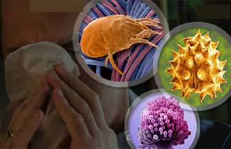 Imunolab Imunologia de Transplantes - Foto 1