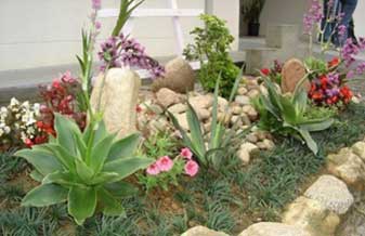 Ecoflora Floricultura e Jardinagem - Foto 1