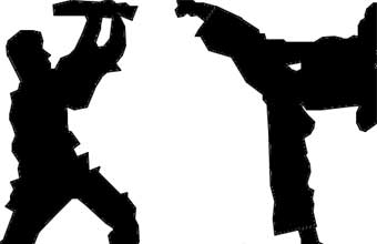 Academia Freizer Karatê e Musculação - Foto 1