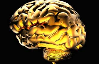 Instituto Mineiro de Neurologia - Foto 1