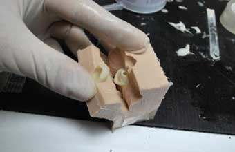 Casa do Silicone - Foto 1