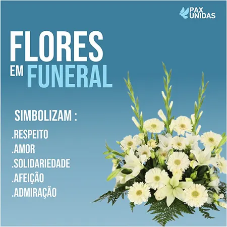 Funerária Pax Unidas - Foto 2