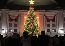 Natal Solidário