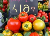 tomate