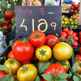tomate