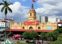 naming rights