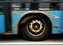 ônibus em BH