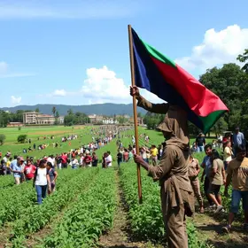 Reforma Agrária