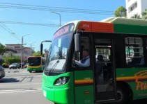 tarifa única para transporte
