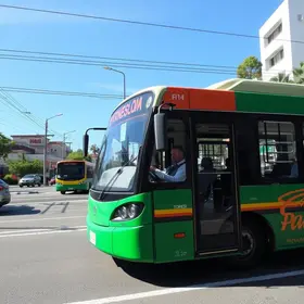 tarifa única para transporte