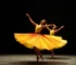 Espetáculo de dança