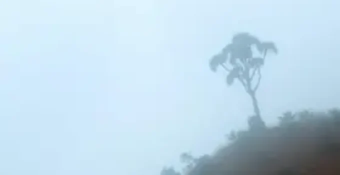 impactos do El Niño em Minas Gerais