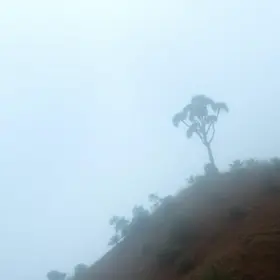 impactos do El Niño em Minas Gerais