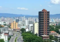 queda populacional