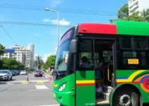 ônibus de graça