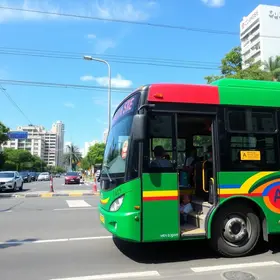 ônibus de graça