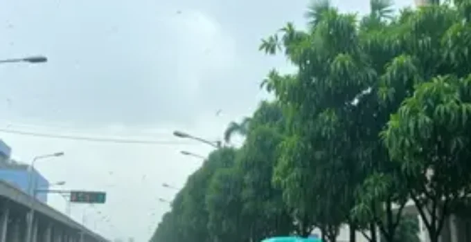 chuva em BH