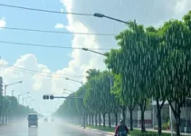Belo Horizonte 2026