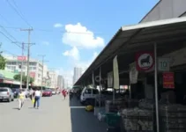 restrição venda animais