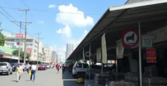 restrição venda animais