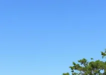 previsão do tempo em Belo Horizonte