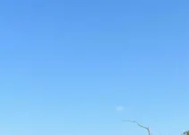 previsão do tempo