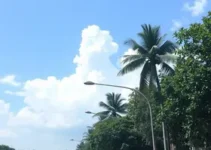onda de calor
