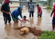 estragos causados pela chuva na Grande BH