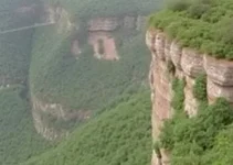 mulher desaparecida