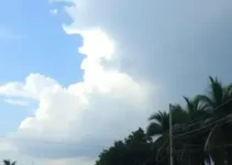 onda de calor