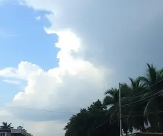 onda de calor