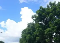 previsão do tempo em Belo Horizonte