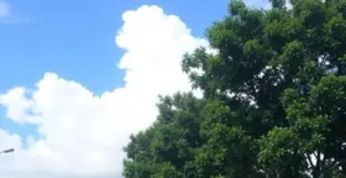 previsão do tempo em Belo Horizonte