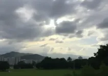 previsão do tempo