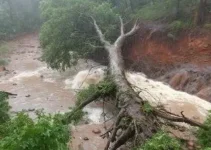 chuva forte na Grande BH